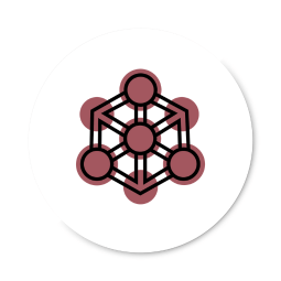 connections icon
