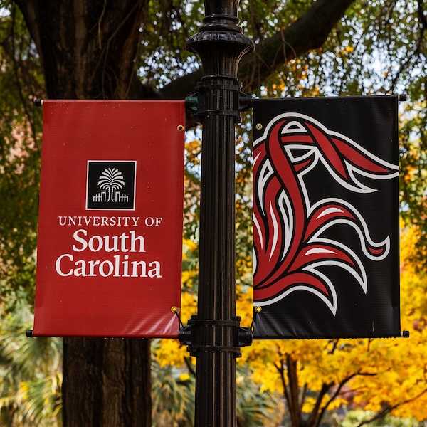 garnet sign reading university of south carolina next to black sign with garnet tailfeathers